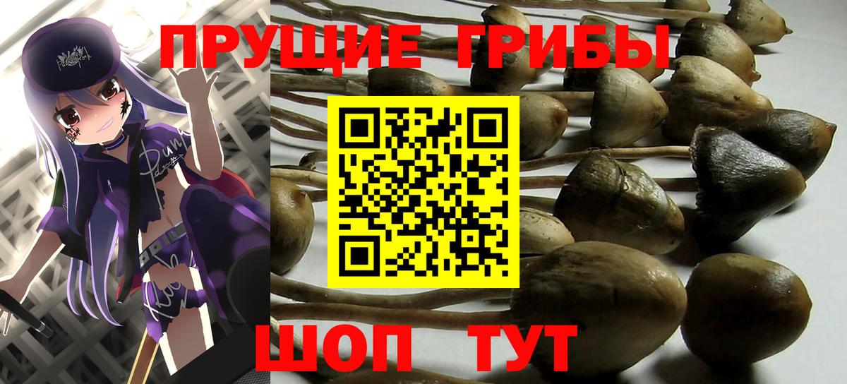 Псилоцибиновые грибы мицелий Кызыл